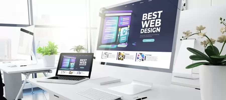 The appearance of your website by website designing experts